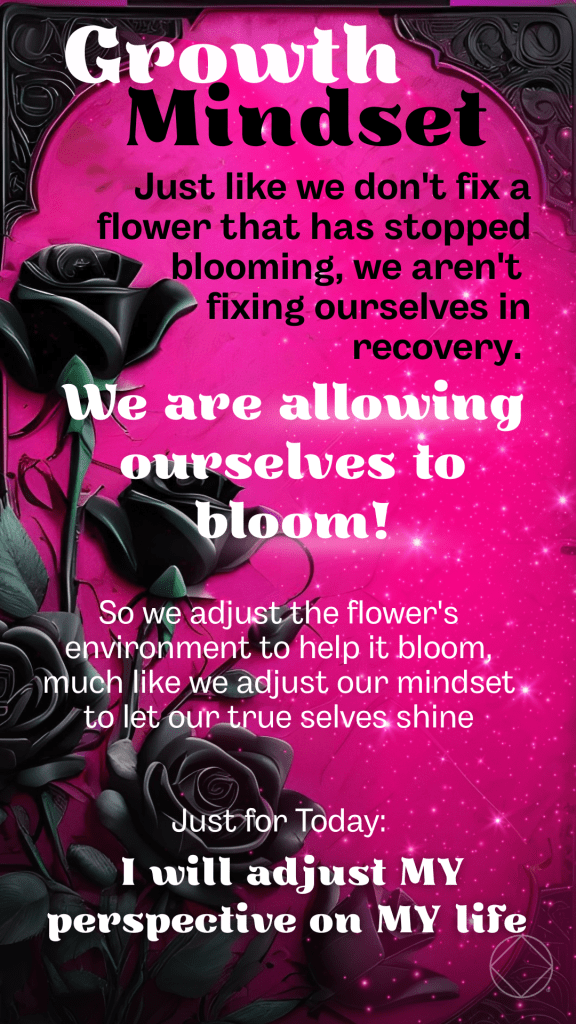 A graphic comparing recovery to gardening. We don't fix the flower not blooming, we adjust it's environment. We aren't fixing ourselves, we are adjusting our mindset