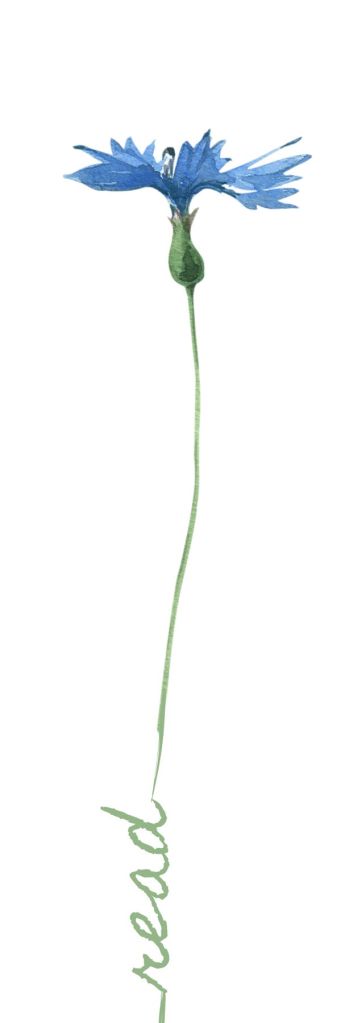 Side 1 bookmark: read in cursive leading into a flower